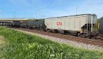 CN 113989 is new to rrpa.